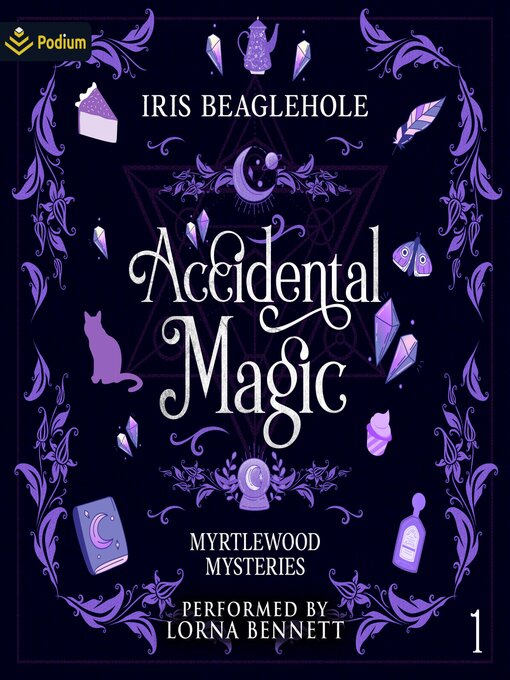 Cover image for Accidental Magic